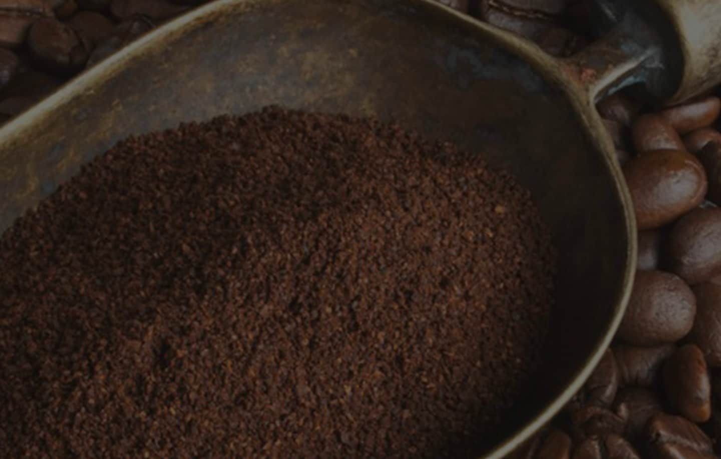 Coffee Definition Vocabulary and Curiosities Lavazza